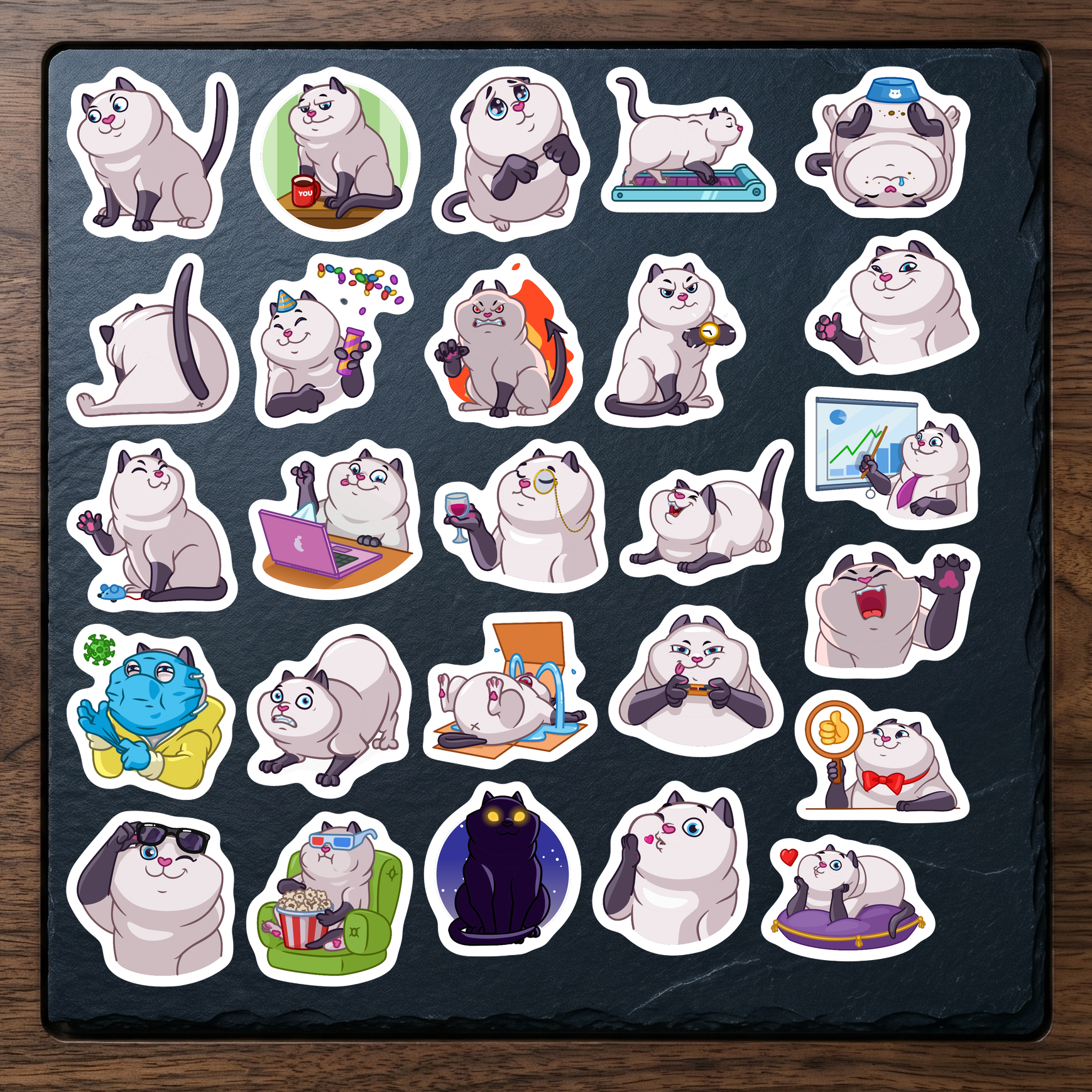 Set 3 (26 hình)