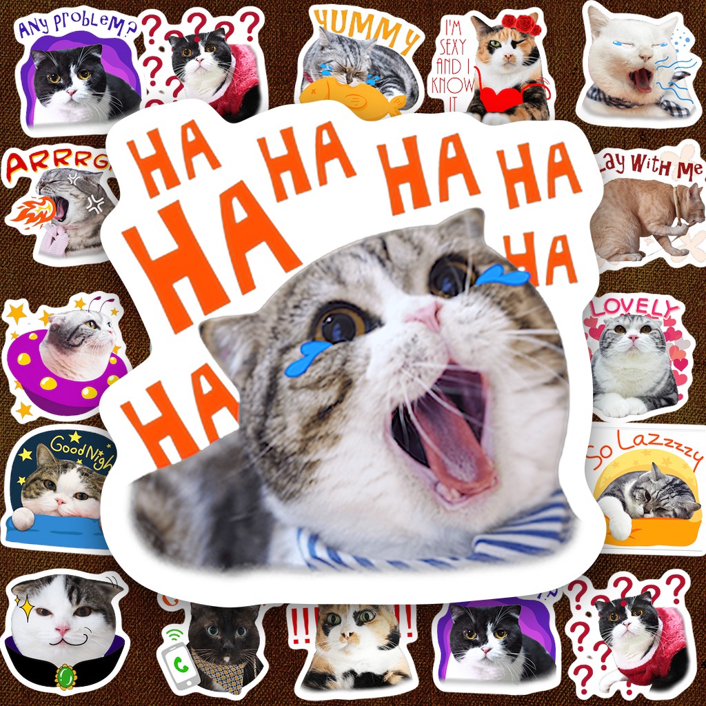 23 Sticker IN LASER Meme Mèo Kingdom of Tigers Meow Hài Hước Cute Dán Laptop Sổ Tay Bình Nước