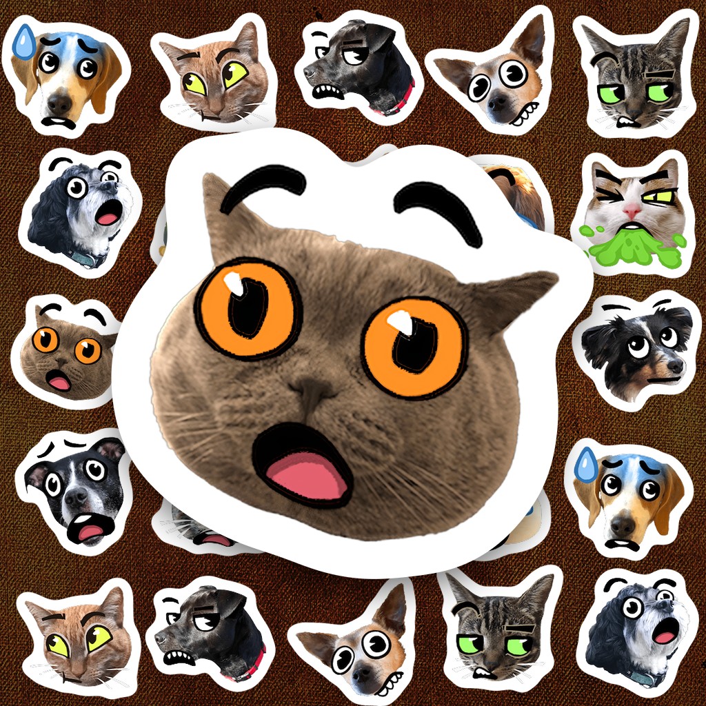 19 Sticker IN LASER Meme Best of Breed Mèo Chó Cute Dán Laptop Sổ Tay Bình Nước Chống Nước