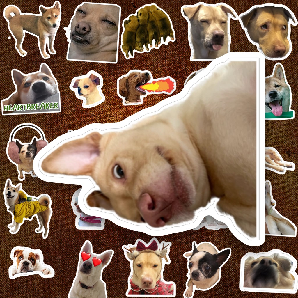 109 Sticker IN LASER Meme Chó Thiệt Shiba Pug Bulldog Chihuahua Hài Hước Biểu Cảm Cute Dán Laptop