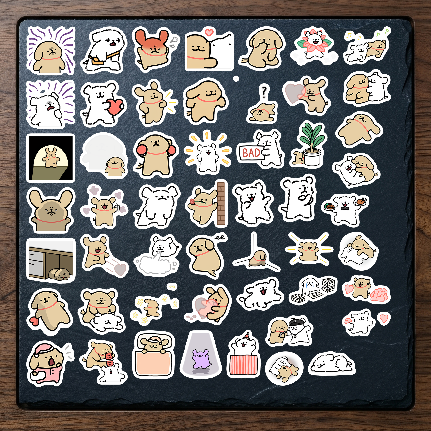 Set 10 (52 hình)