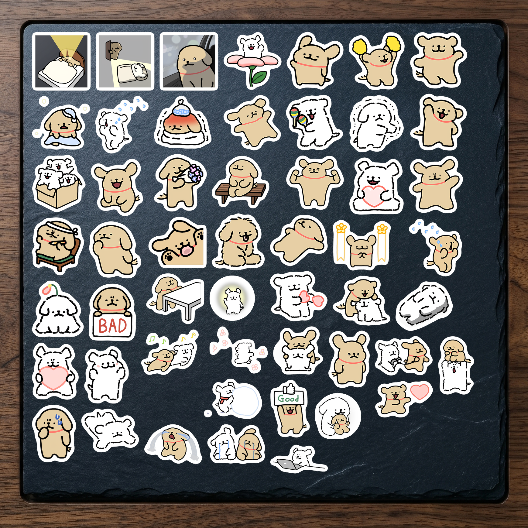 Set 6 (52 hình)
