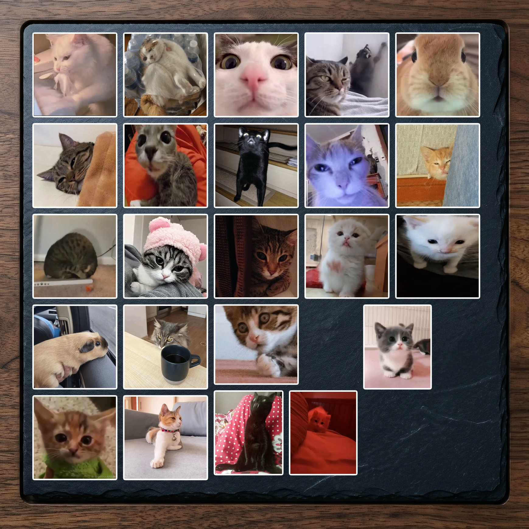 Set 14 (23 hình)