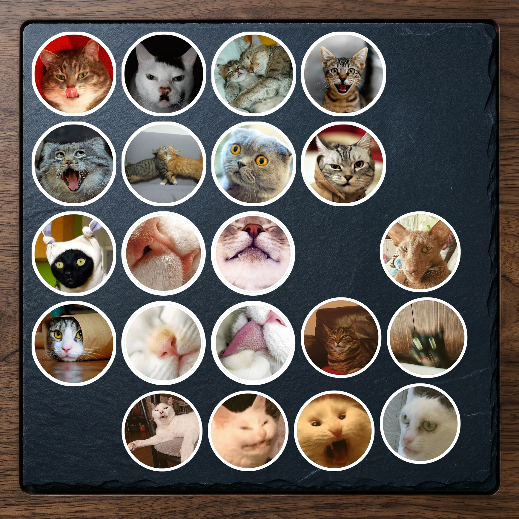 Set 3 (21 hình)