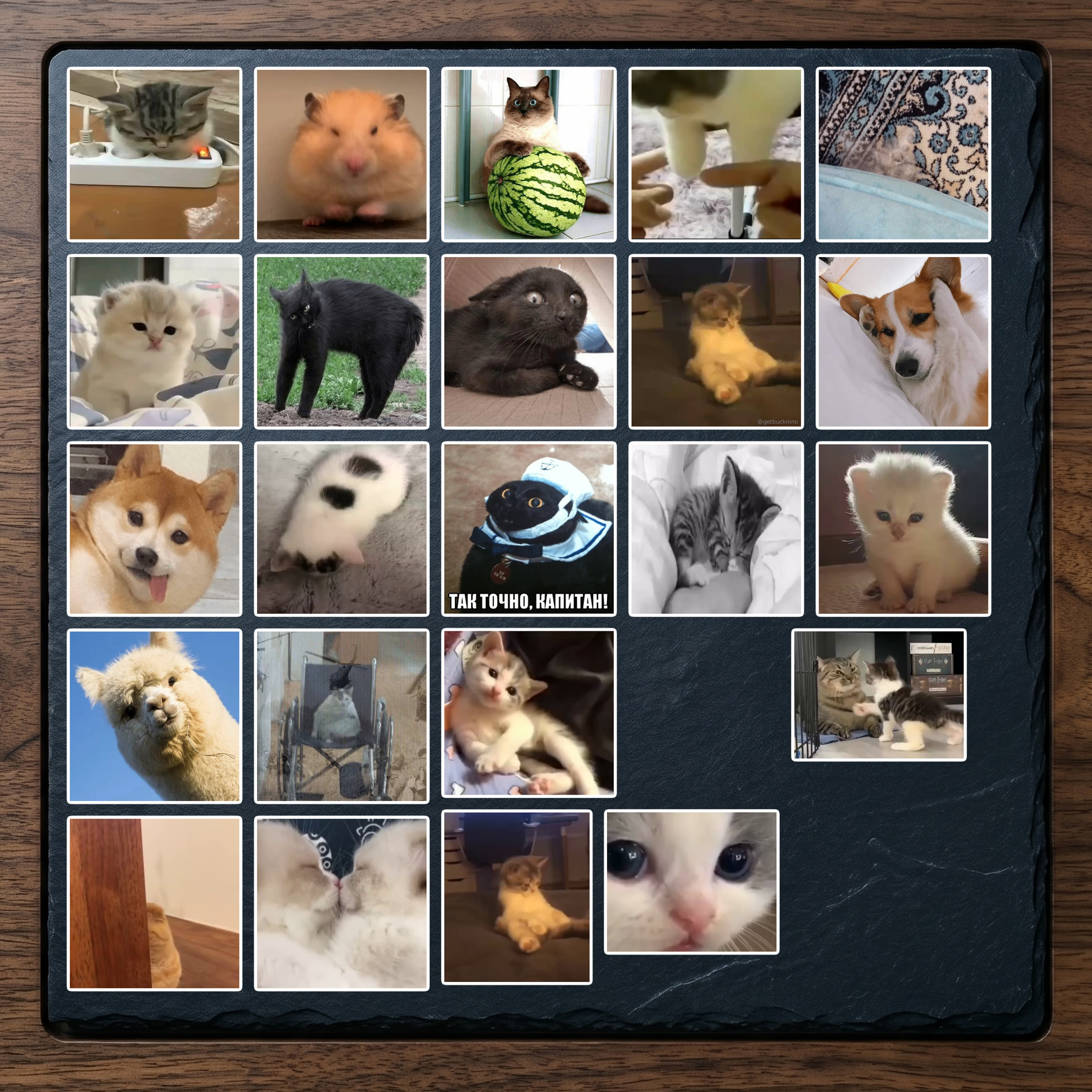 Set 19 (23 hình)