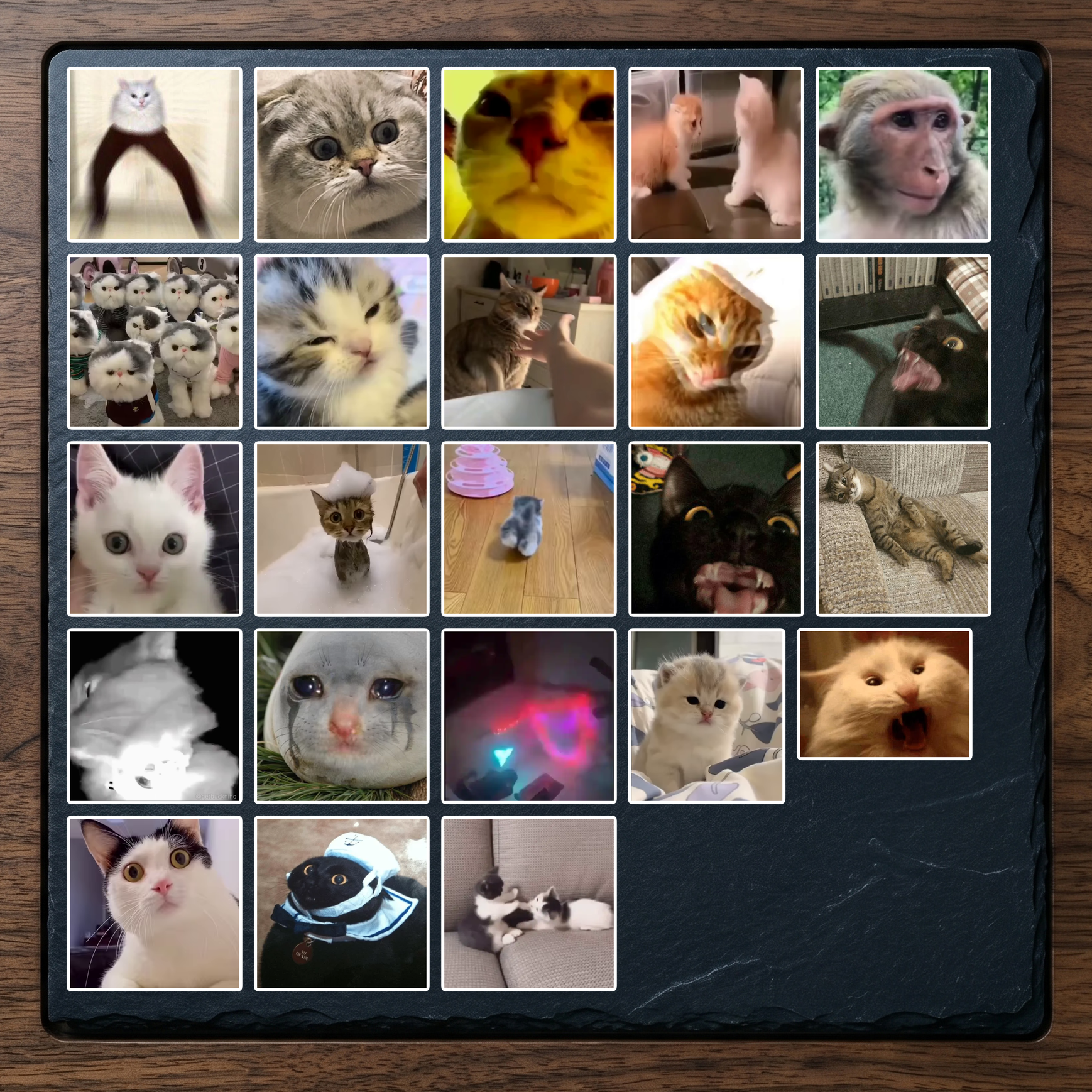 Set 17 (23 hình)