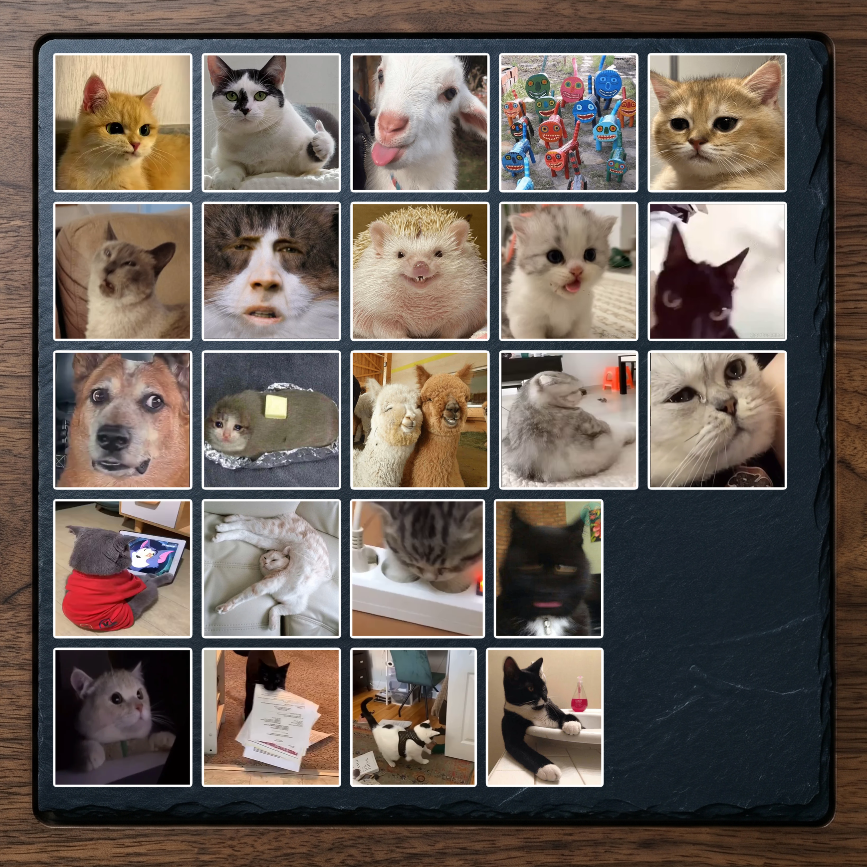Set 8 (23 hình)