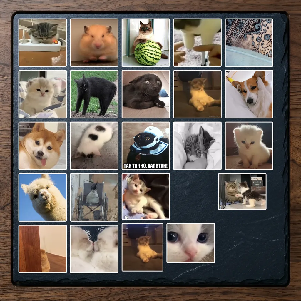 Set 19 (23 hình)