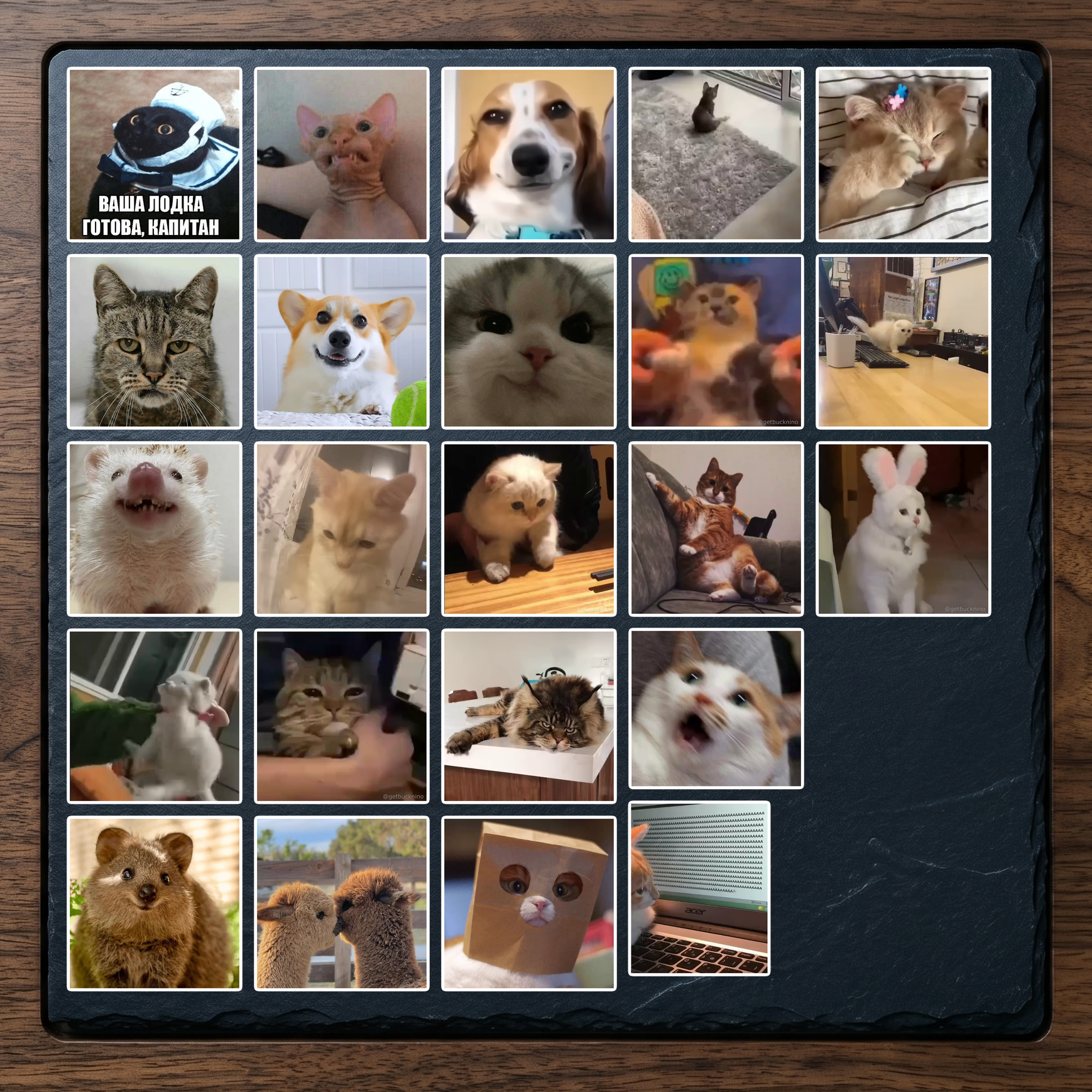 Set 16 (23 hình)