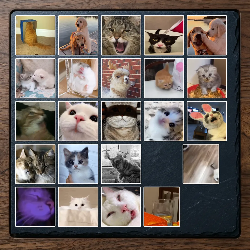 Set 22 (23 hình)