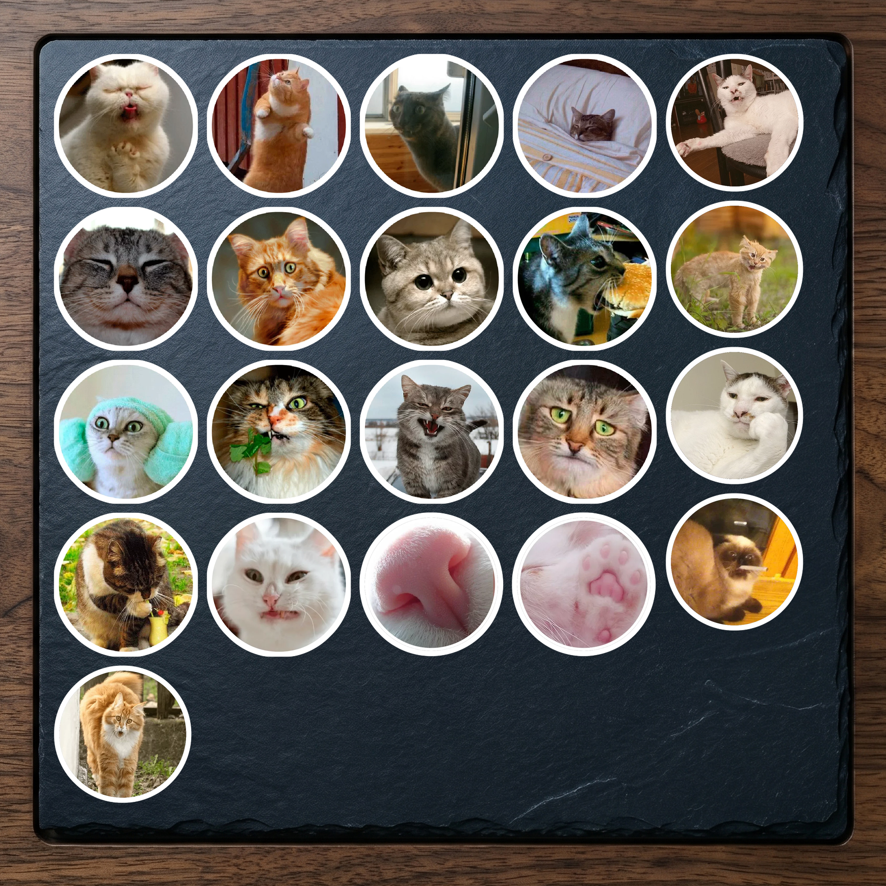 Set 8 (21 hình)