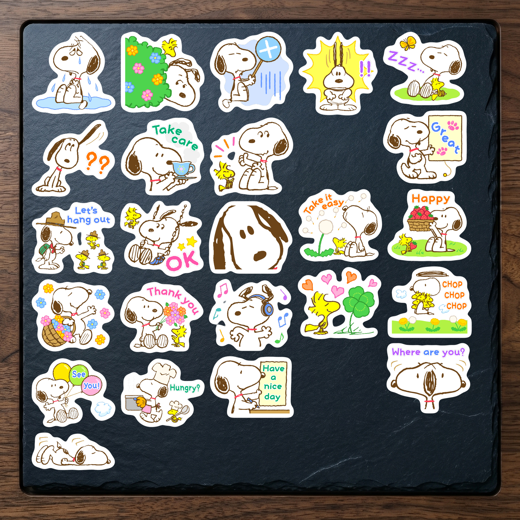 Set 3 (24 hình)