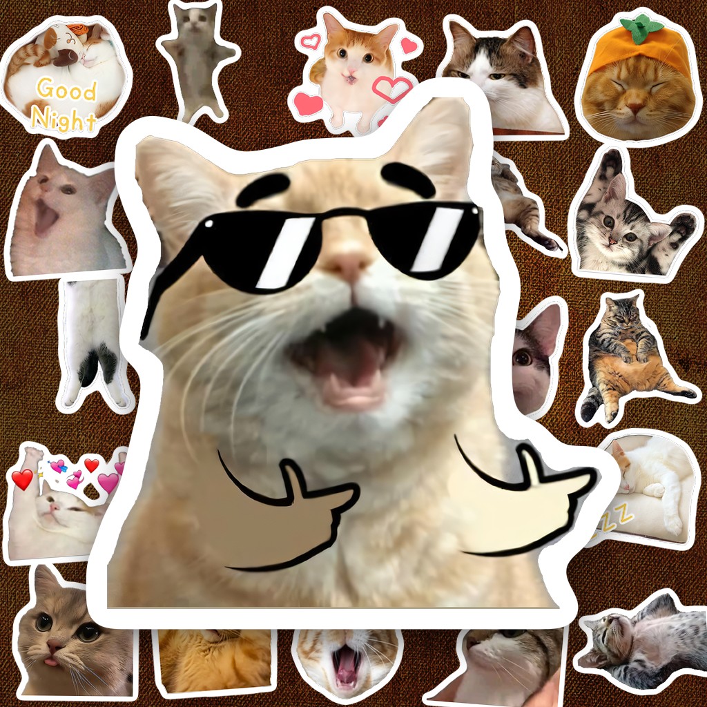 204 Sticker IN LASER Meme Mèo Thiệt Mèo Cam Đen Mướp Hài Hước Cute Dán Laptop Sổ Tay Bình Nước
