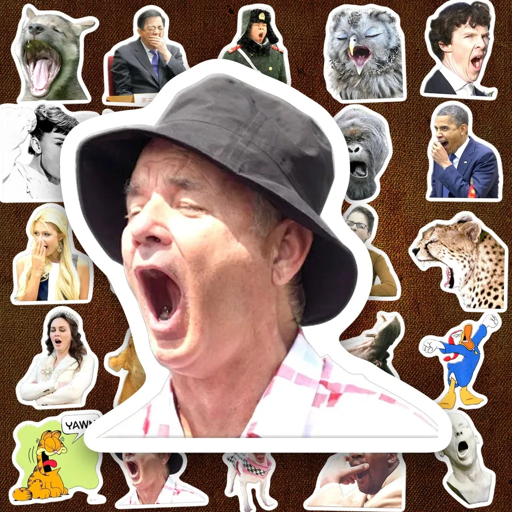42 Sticker IN LASER Meme Ngáp Ngủ Hài Hước Biểu Cảm Bá Đạo Cute Dán Laptop Sổ Tay Bình Nước