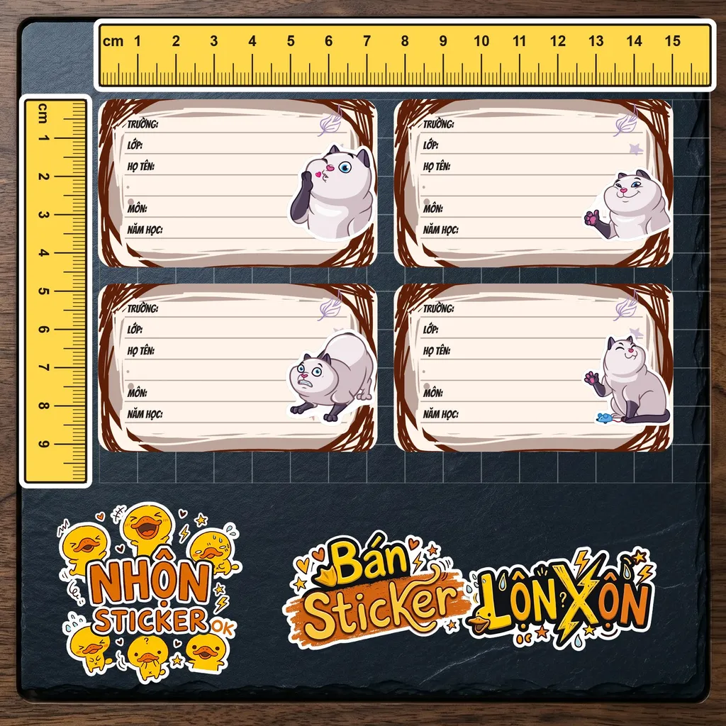 Kích thước thực tế 4