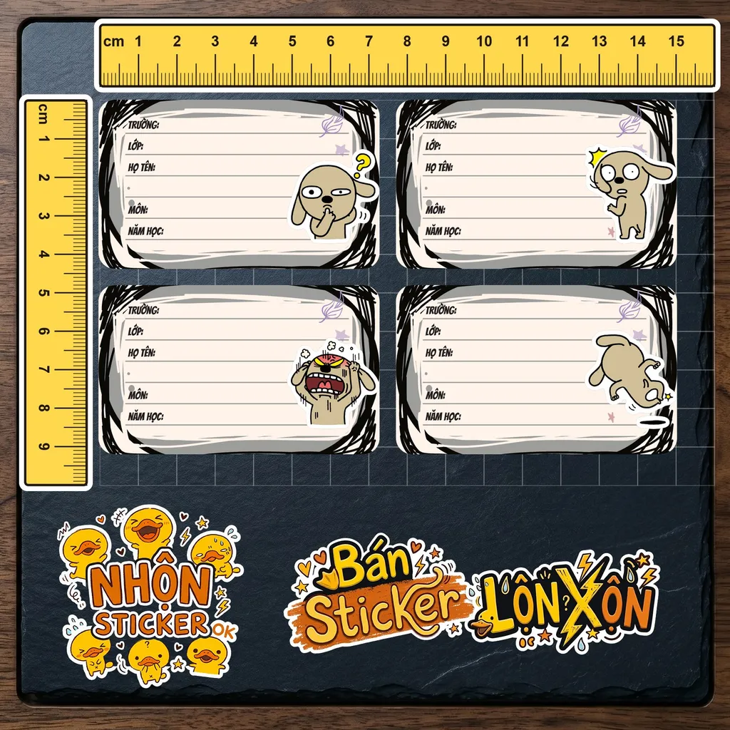 Kích thước thực tế 4