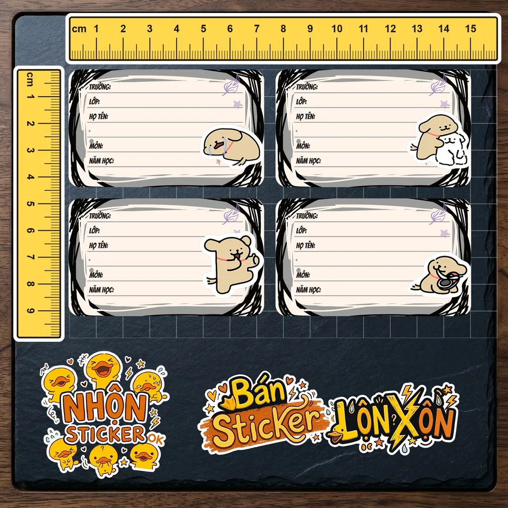 Kích thước thực tế 5