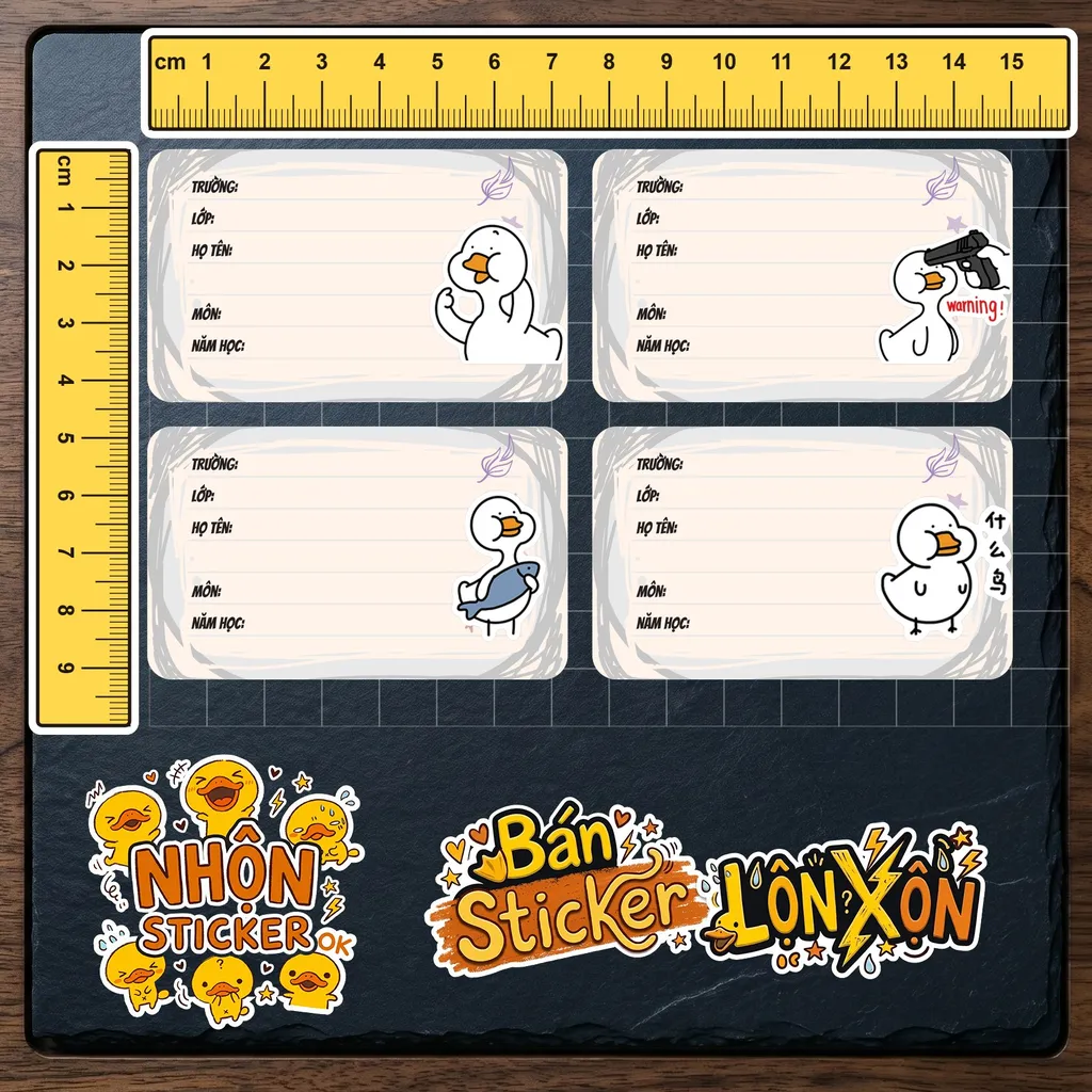 Kích thước thực tế 4
