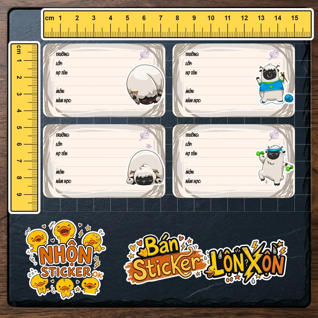 Kích thước thực tế 5