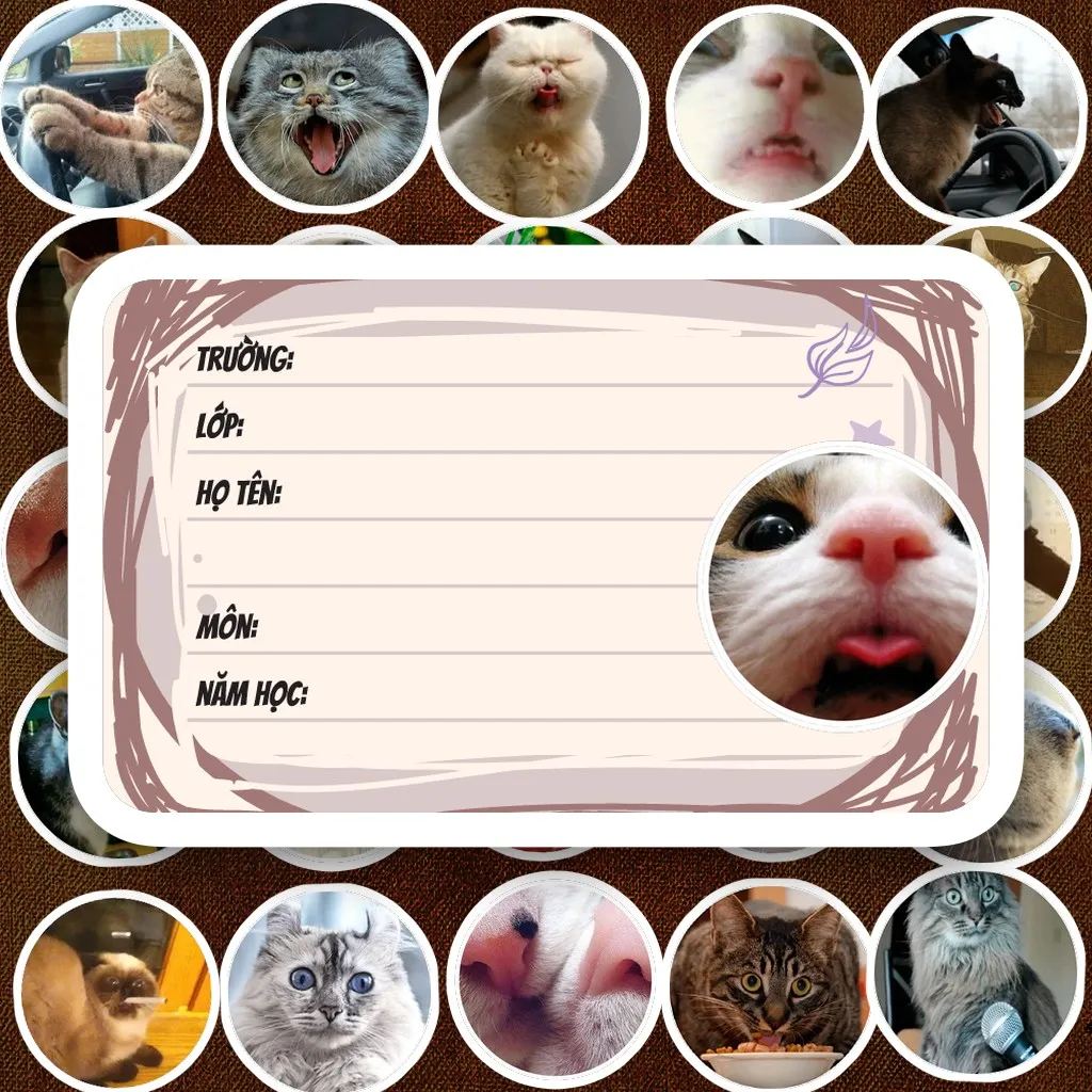 176 Nhãn Vở IN LASER Meme Mèo Ảnh Thật Hài Hước Hộp Emoji Cute Dễ Thương Dán Vở Tập Sổ Tay Học Sinh
