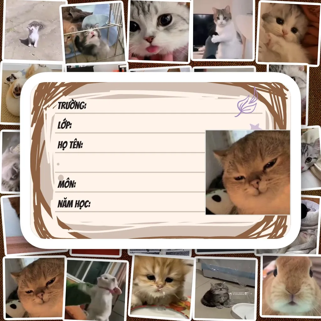 560 Nhãn Vở IN LASER Meme Chó Mèo Ảnh Thật Hộp Emoji Cute Dễ Thương Dán Vở Tập Sổ Tay Học Sinh