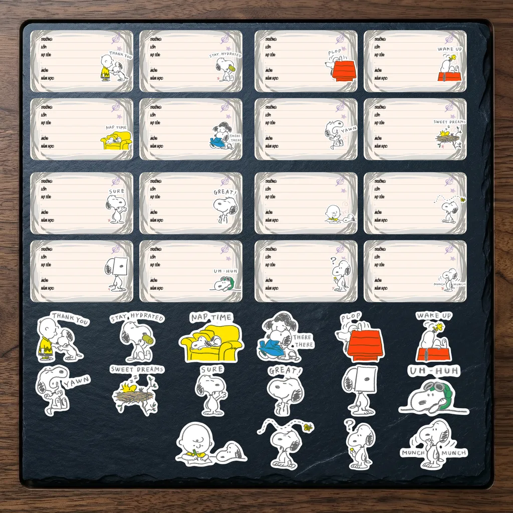 Mẫu 8 (16 hình)