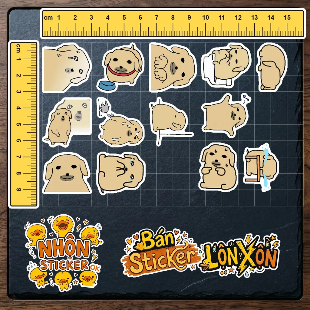 Kích thước thực tế 1